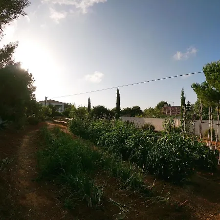 Ca Masia Con Piscina Y Barbacoa