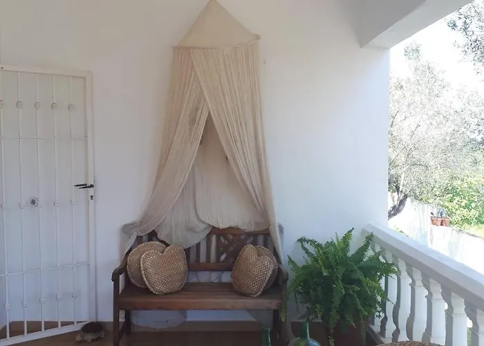 Con Piscina Y Barbacoa Apartamento