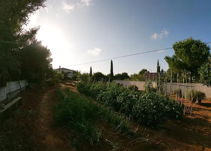 Con Piscina Y Barbacoa